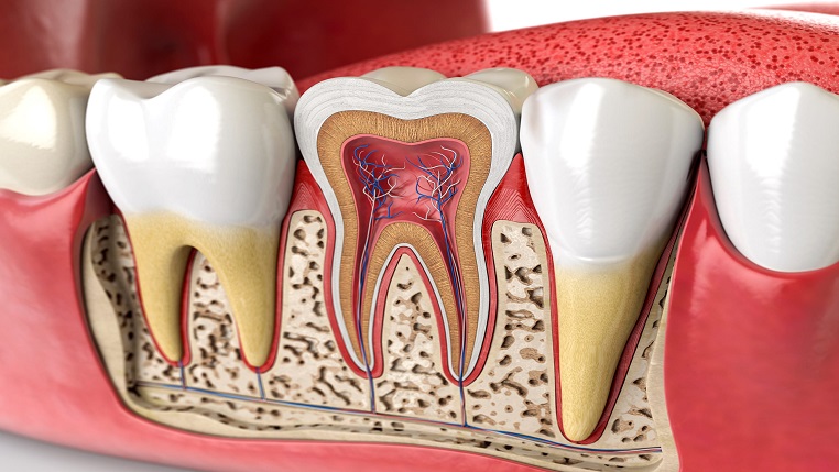 Endodontic Process Treatment